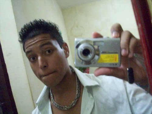 Teimoso, insuportavel, cavalo, é dificil conviver cmg, mais eu sou legal *-*