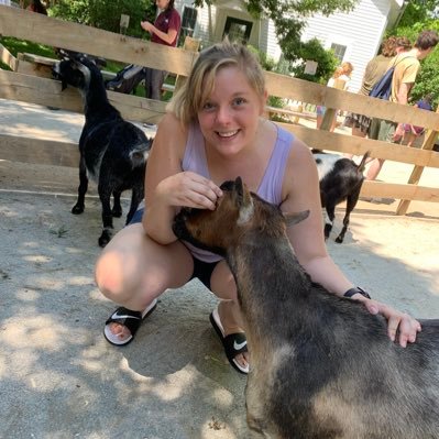 bfigolah's profile picture. 