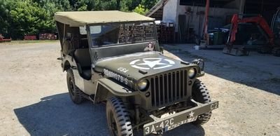 alain7986's profile picture. Alain a