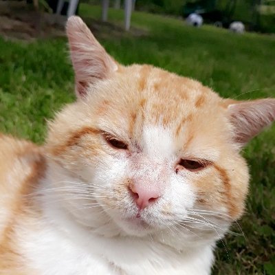 BaptisteDarret's profile picture. 