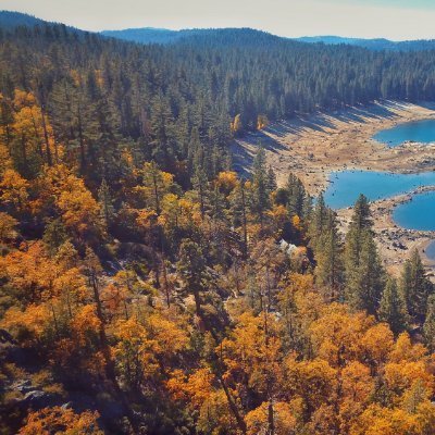 shuttterspeed's profile picture. 