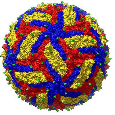 An infectious disease lab that studies emerging RNA viruses and neuroimmunology at UTSouthwestern Medical Center.