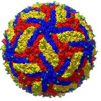 Beckham Lab (@ns3protease) 's Twitter Profile