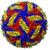 Beckham Lab (@ns3protease) Twitter profile photo Beckham Lab (@ns3protease) Twitter profile photo