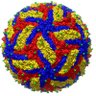 NS3protease's profile picture. An infectious disease lab that studies emerging RNA viruses and neuroimmunology at UTSouthwestern Medical Center.