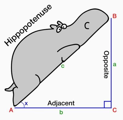 thatmathsgal's profile picture. Mum, Teacher of Maths, Batman Superfan, Powered by Plants 🌱