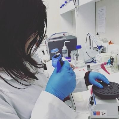 MelissaOrRe's profile picture. Estudiante de Bioingenieria, Universidad de Concepcion