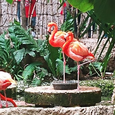 Maga_Brida's profile picture. Release the Epstein Client List! I want names!