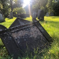 Dead In Halifax (@deadinhalifax) 's Twitter Profile