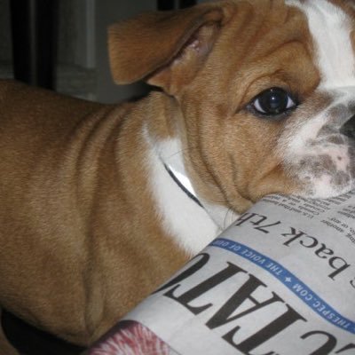 NancyB29033681's profile picture. 