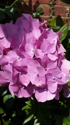 jen_bray_random's profile picture. No logic or pattern, just random stuff that I like.