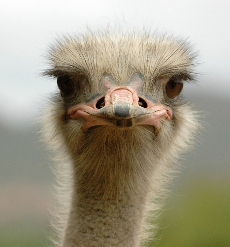 Pat88888888's profile picture. 