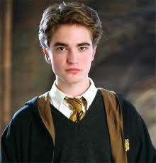 Cedric__Diggory's profile picture. Hufflepuff and FINDER extraordinaire.