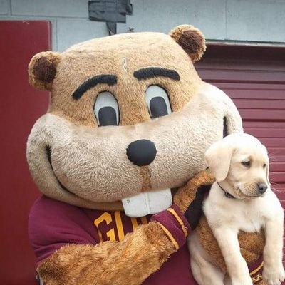 kelsey_rie's profile picture. MN State Fair enthusiast.