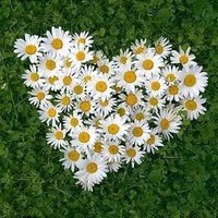 sakarya evli okan pınar (@okanolgun19) 's Twitter Profile Photo