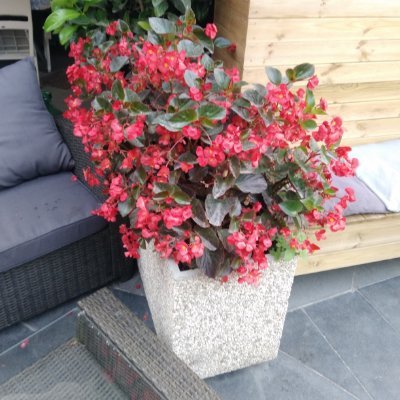 Misspanda953's profile picture. Amo leggere,guardare,viaggiare,ridere...                     Sono contenta e insoddisfatta allo stesso tempo.