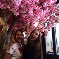 Eilidh McMillen (@_eilidhm) 's Twitter Profile