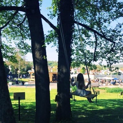 bachnerdy's profile picture. 