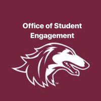 Student Engagement(@SIUGetInvolved) 's Twitter Profile Photo