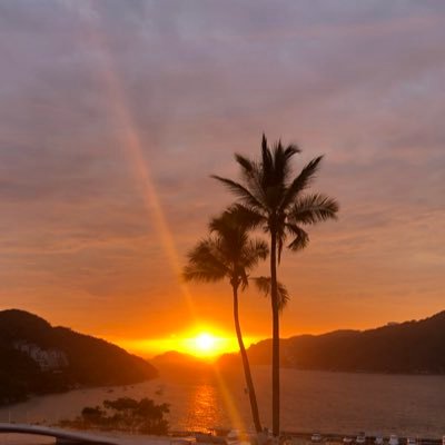 oxil_cizin's profile picture. 