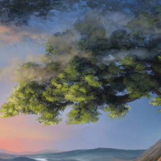 viridicaeru's profile picture. 