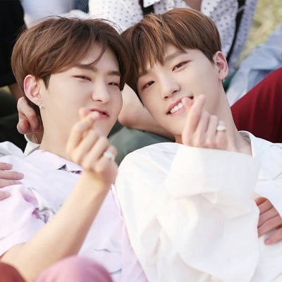 0527_svt's profile picture. 02line-- Seventeen 🦖