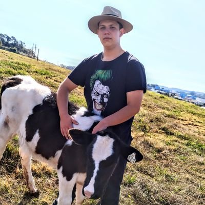FelipeKarczeski's profile picture. estudante