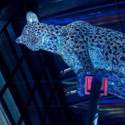 groktionary's profile picture. Not X related - am a failed founder, energy IM, and proud father. Single handedly raised three kids. Now a human piñata to allegedly evil CCA and its toadies.