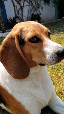 AlanEspejel2's profile picture. 