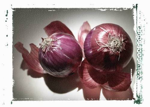 you806060's profile picture. 나는 양계업을하고있다 .토종닭및 .청둥오리. 오골계
등등.....판매 010-6319-8060