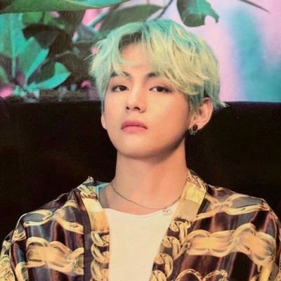 Bts lover