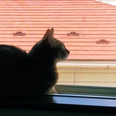 taipee_0329's profile picture. 