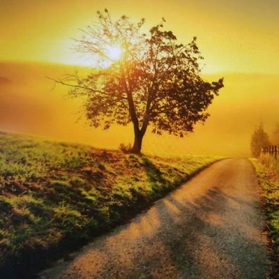 infosecpedia's profile picture. 