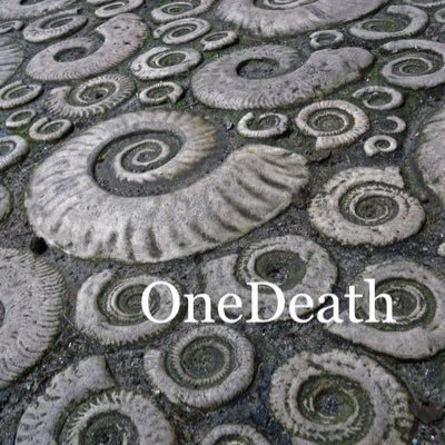 onedeath_org's profile picture. Helping to remove the secrecy about death and the concealment of the dying. Deathscussions coming soon #deathpositive #deathadvocate #deatheducation ⚰️ 💀
