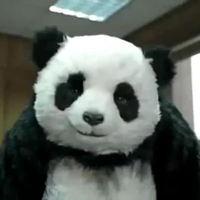 cellebarbs's profile picture. Sei lá!