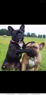 print6699's profile picture. eat work live