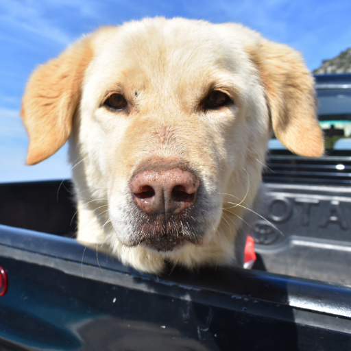 poulakitsi's profile picture. 