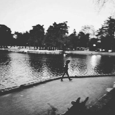 IsmaDMDC's profile picture. 