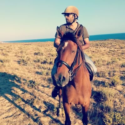 submarines, warships, fighter jets, bombers, Tanks, infantry men and their weapons, geopolitics, war, wildlife, and love for horses