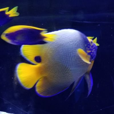 亀さんのプロフィール画像