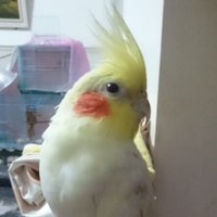 遙旭 (@eric80112011) 's Twitter Profile
