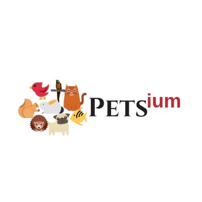 https://t.co/NEmqGdwNcR offers information about pets including dogs, cats, fish, birds, guinea pigs, and more. #dogs #cats #pets #hamster #guineapig🐶🐕🐈😽🐠🦜🐹🐇🐰🥰