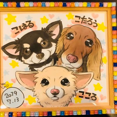 3わん🐶🐶🐶のほほん日記😊keep an open mind🍀無言フォロー失礼します🙇‍♂️