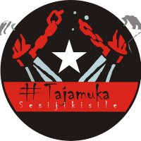 Tajamuka-Sesjikisile(@Tajamuka) 's Twitter Profile Photo