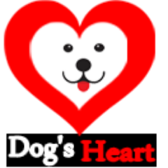 paradisfa's profile picture. 