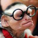 daniel tri prasojo - @gaaadaanamanyaa - Twitter