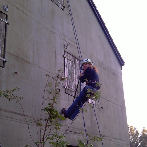 TeamMarklohe's profile picture. 