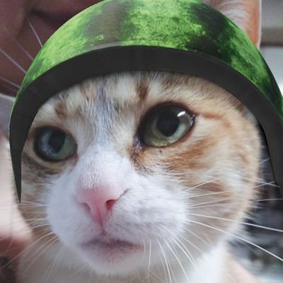 214Decorin's profile picture. ＊ラーメン＊お菓子＊パン＊小麦が好きな田舎っこ＊