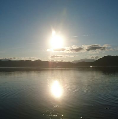 feita26's profile picture. 