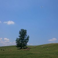 tatsu (@tatsu_383838) Twitter profile photo